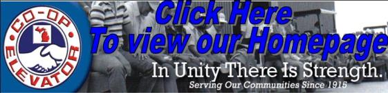 Click to go to Homepage