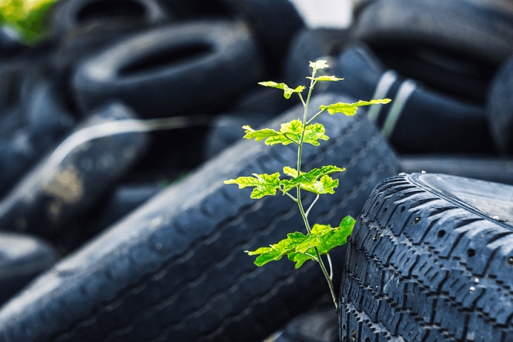 Best Fuel-Efficient Tires for Cars & Trucks